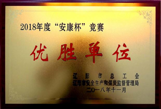 SA视讯集团荣获“2018年度安康杯较量优胜单元”